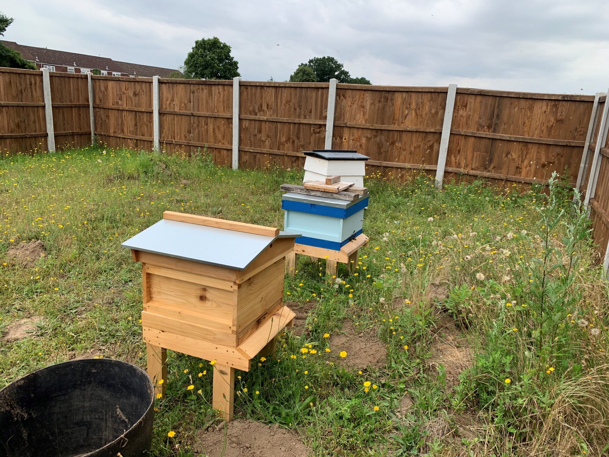 Community Apiary - Hellesdon Parish Council