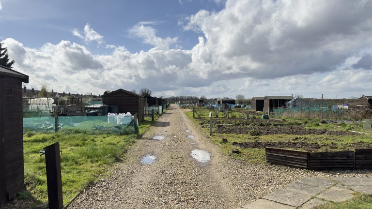 View of the allotment site from the entrance