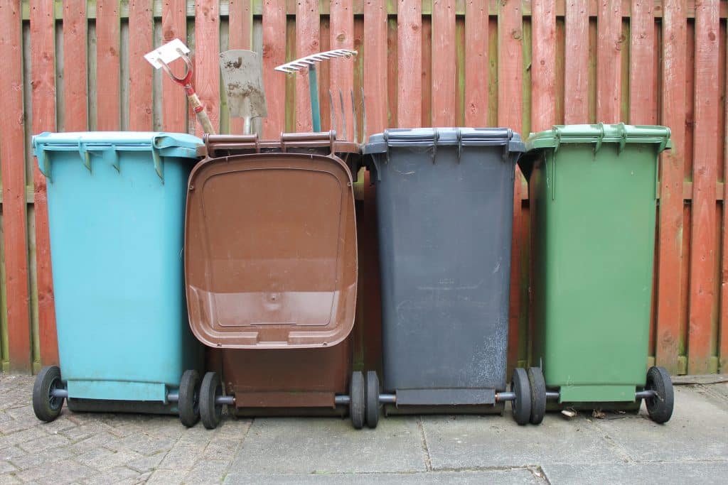 A row of wheelie bins